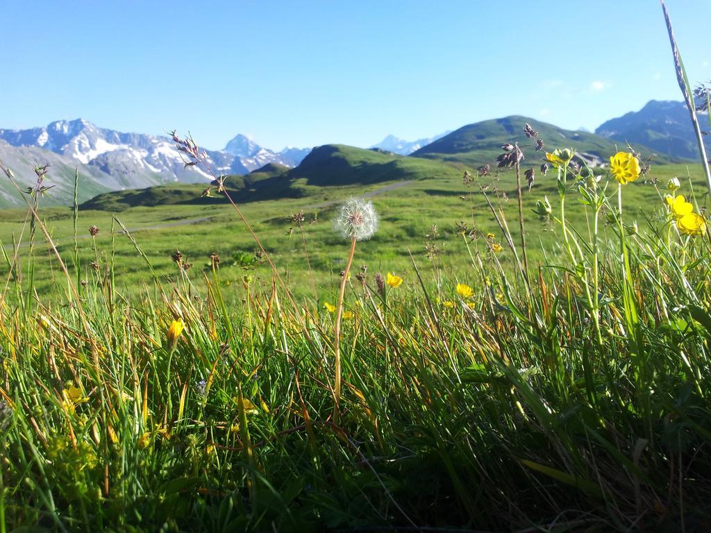 Berggasthaus Tannalp Frutt Екстериор снимка